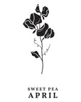 Spellbinders - Florals Through the Year Collection - Press Plates - April Sweet Pea-ScrapbookPal