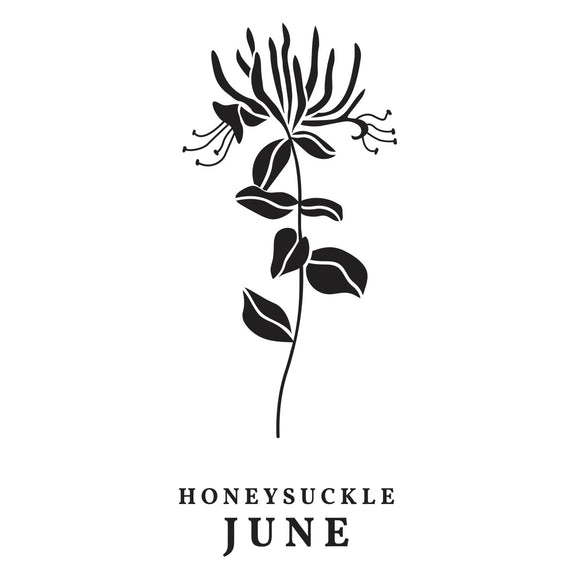 Spellbinders - Florals Through the Year Collection - Press Plates - June Honeysuckle-ScrapbookPal
