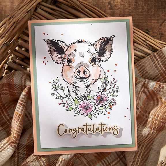Spellbinders - Justine's Farm Collection - Press Plates & Dies - Daisy - Scratch & Dent-ScrapbookPal