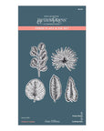 Spellbinders - Propagation Garden Collection - Press Plate & Dies - Tropical Leaves-ScrapbookPal