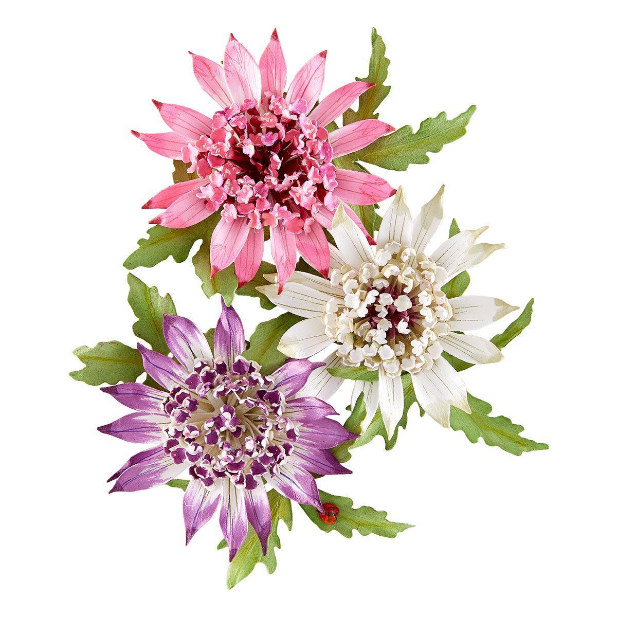 Spellbinders - Serenity Garden Collection - Dies - Astrantia-ScrapbookPal