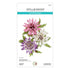 Spellbinders - Serenity Garden Collection - Dies - Astrantia-ScrapbookPal