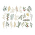 Spellbinders - Sleigh Bells Ring Collection - Clear Foliage Stickers-ScrapbookPal