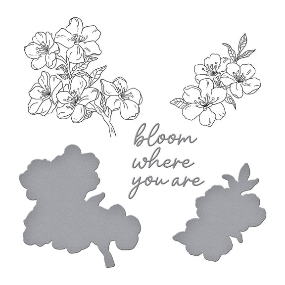 Spellbinders - Spring in Kyoto Collection - Press Plates & Dies - Cherry Blossoms-ScrapbookPal