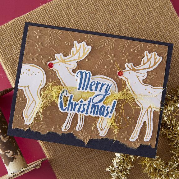 Spellbinders - Starry Holiday Collection - 3D Embossing Folder - Stars and Fronds Frame-ScrapbookPal