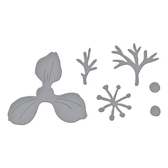 Spellbinders - Summer Solstice Garden Collection - Dies - Anemone-ScrapbookPal
