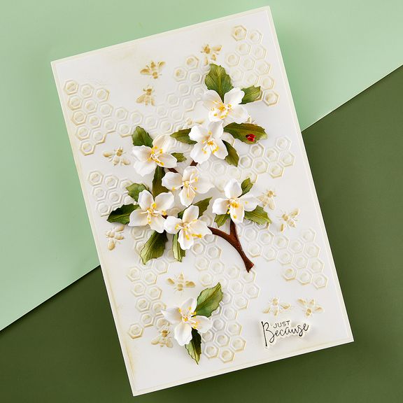 Spellbinders - Through the Arbor Garden - 3D Embossing Folder - Bee-Cause-ScrapbookPal