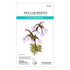 Spellbinders - Through the Meadow Collection - Dies - Chinese Meadow Rue-ScrapbookPal