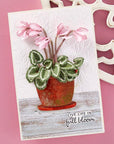 Spellbinders - Winter's Grace Garden Collection - Dies - Cyclamen-ScrapbookPal