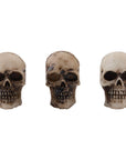 Tim Holtz Idea-Ology - Halloween - Skulls and Bones