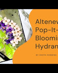 Altenew - Clear Stamps & Dies - Pop-It-Up: Blooming Hydrangea