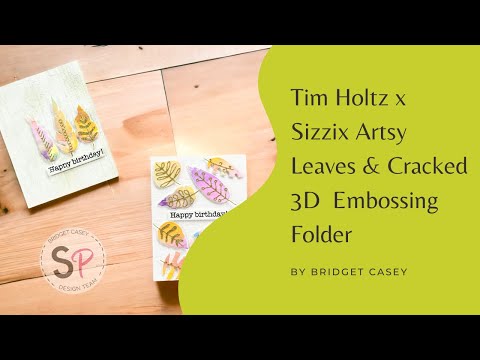 Sizzix - Tim Holtz - 3-D Texture Fades Embossing Folder - Cracked