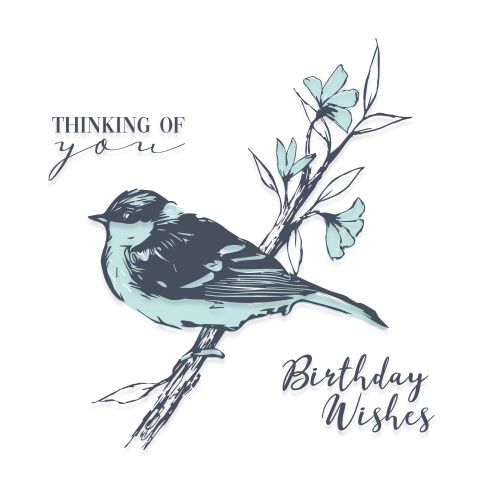 Sizzix - Layered Clear Stamps - Summer Bird