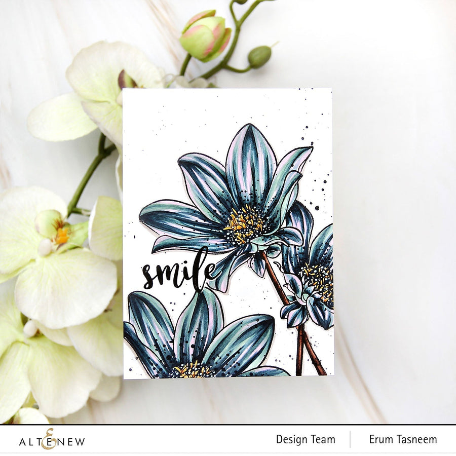 Altenew - Clear Stamps - Paint-A-Flower: Dahlia Bright Eyes Outline